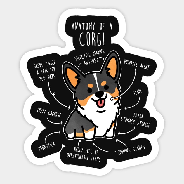 Corgi Tri Color Dog Anatomy Corgi Sticker TeePublic